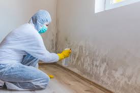 Best Mold Odor Removal Services in Carl Junction, MO